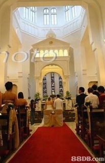 專業數碼攝影服務 捕捉瞬間，塑造永恒