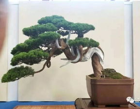 2018臺灣華風盆景展精品總匯